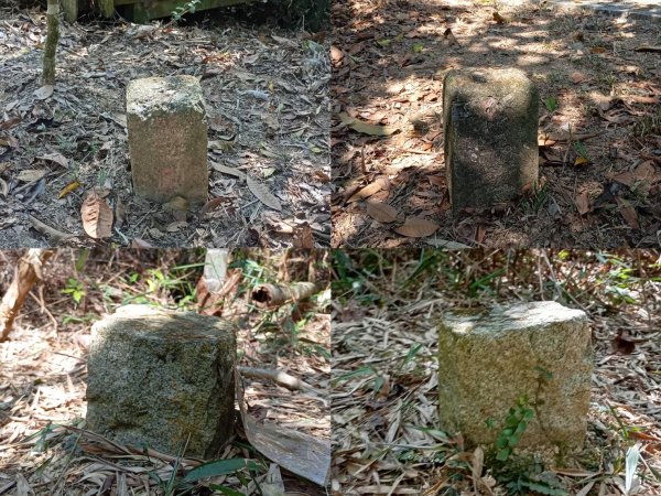 大年初二探勘日月潭「內湖山」及「大牛條山」