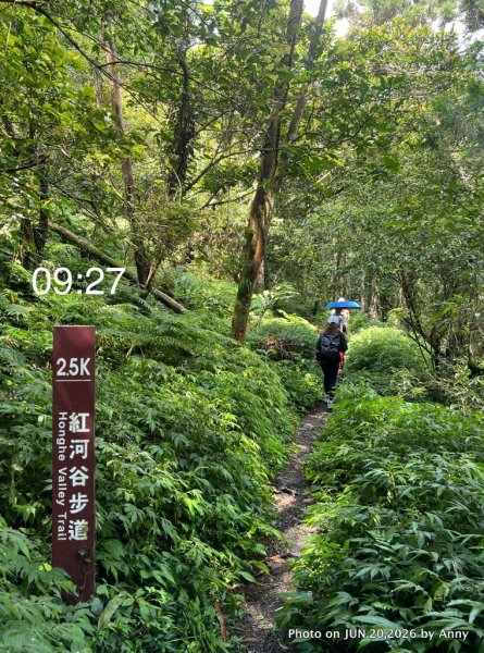 輕鬆的森林浴步道——紅河谷步道3076868