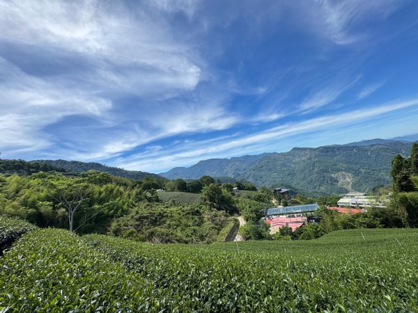 頂石槕步道群順訪樂野山2808405