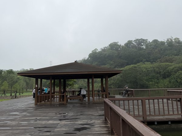 [樟之細路_第一大段RSA01] 2026_0329 三坑自然生態公園3026801