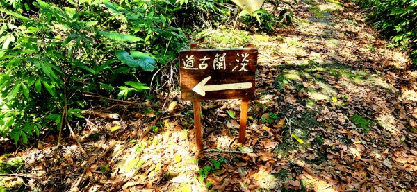 石碇獵狸尖，四分子古道，大格門古道，汐止白雲古道，汐止神社，台北黎和生態公園，宜蘭明池森林遊樂區2037684