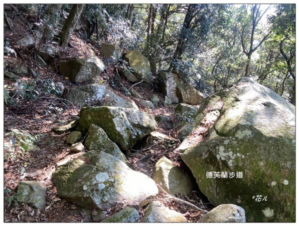 東卯山、東卯山西峰、東卯山西南峰 連走2932826