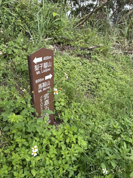20251024雲嘉五連峰+碧湖山2924279