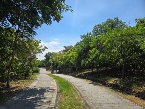 高雄都會公園3119751