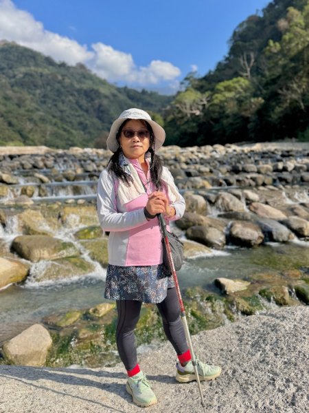 雪山坑登山步道尋巨人2978277