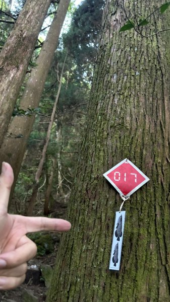 加里山東南峰2867924