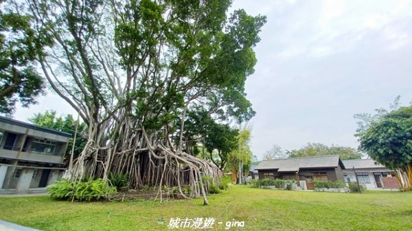 【台中西區】臺中刑務所演武場2968246