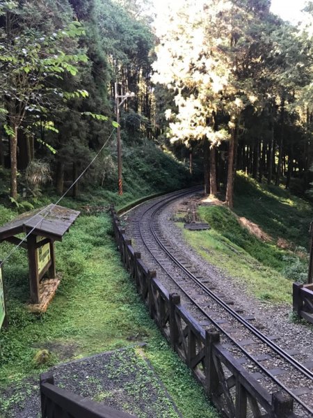 阿里山雙峰大塔山對高岳連走451418