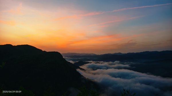 翡翠水庫壩頂 #火燒雲雲海 #日出雲海 #鱷魚島 #藍腹鷴 4/292772681