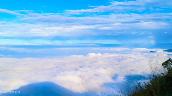 阿里山 #隙頂二延平 #頂石棹 #觀音圈 #雲海 #琉璃光 #雲瀑 #霧虹 11/172649777