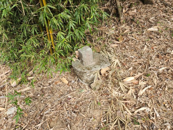 20241222二載山與大橫屏山南峰(追加鹽菜甕山、鹽菜甕下山)2721534