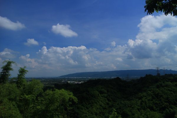 雲林．林內龍過脈森林步道2023/07/222237640