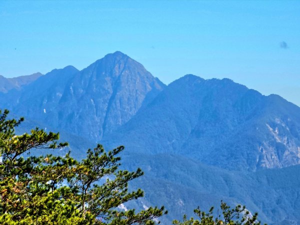 東卯山-谷關七雄(老五)2991602