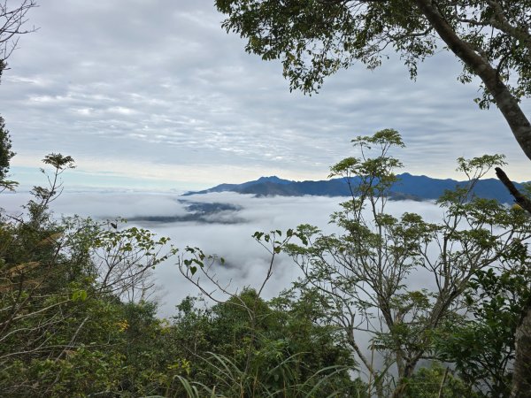 馬那邦山之雲海／雲瀑／楓紅／太陽琉璃光2676351