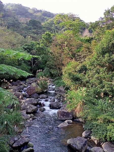 【南山神壽任務尋寶趣】流水潺潺的坪頂古圳親山步道→清風亭→大崎頭步道1591343