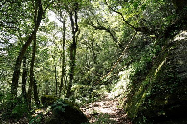 新北 烏來 山車廣山、檜山2567411