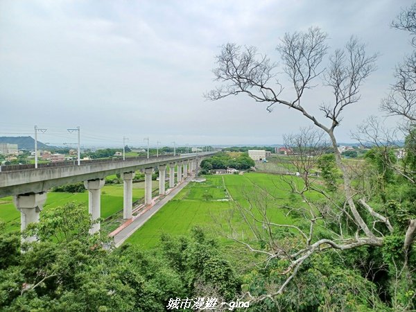 【台中外埔】沿著水圳散散步。 外埔水流東桐花步道1731425