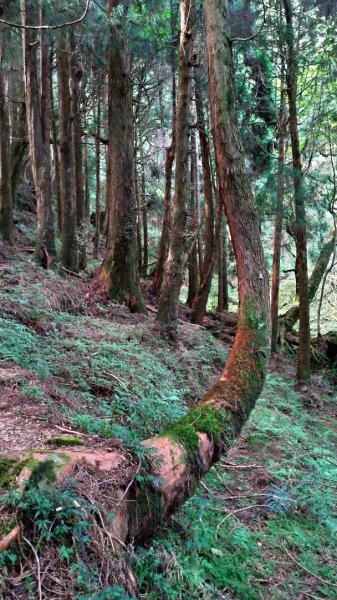 特富野、兒玉山、東水山、北霞山、一次滿足1005780