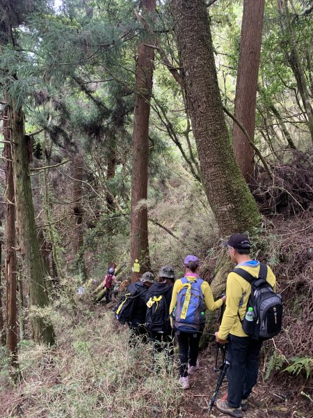 20250517義義兒玉山-東水山2791702