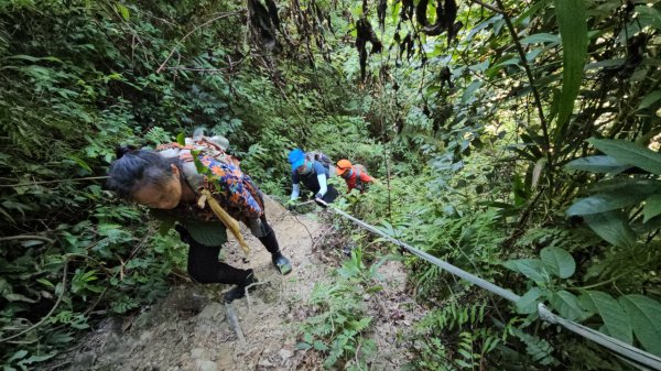 烏桶縱走(烏來山→大桶山)忠治出全紀錄2915209