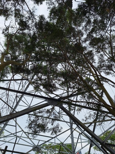 烏山嶺水利古道+鳥子嶺O型2967451