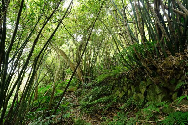 臺北 士林 玉稠湖山、石角山、白雲山、天母山2496018