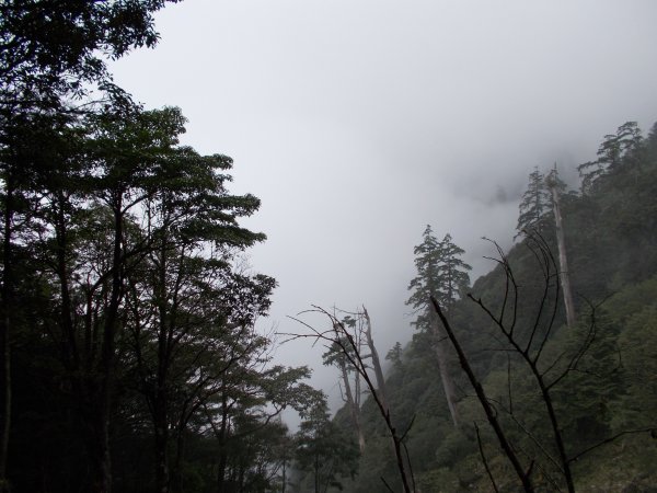 治茆山,治茆山南峰,巒山堂691191