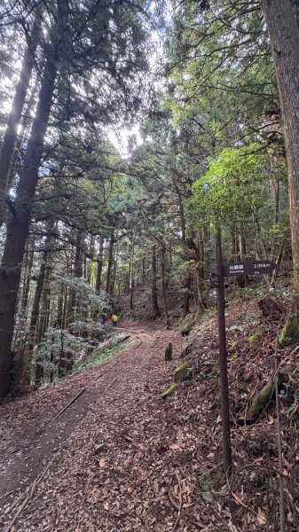 加里山東南峰2845043