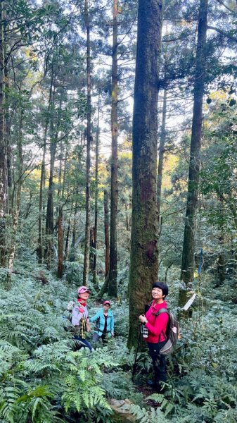 20260104源茂山.源茂山西峰.和尚髻山O走+親水觀魚步道2977784