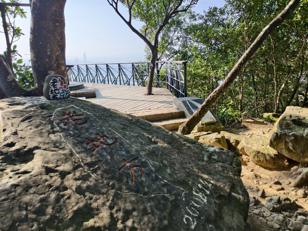 [百山百鳥尋旅-14/15] 2025_0929 劍潭山親山步道2900897