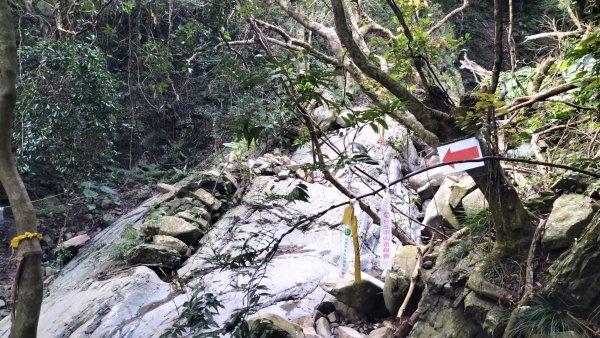 20250203_小百岳女仍山2706843