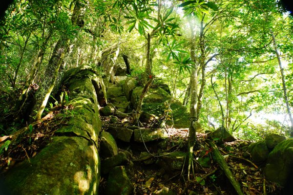 苗栗 南庄 光天高山、向天湖山3073683