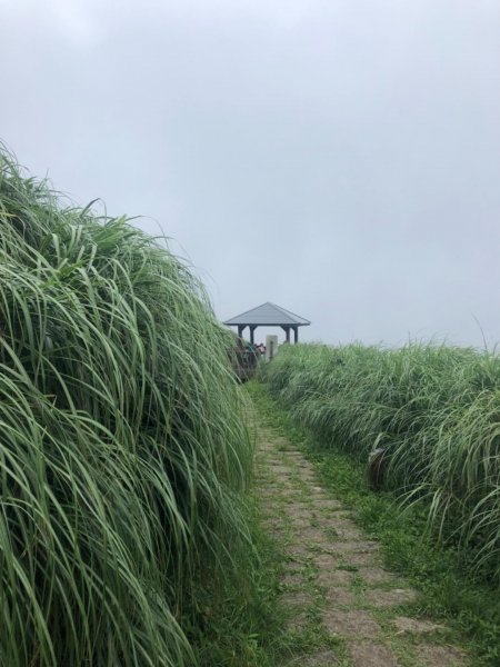 大屯主峰南峰20190727637371