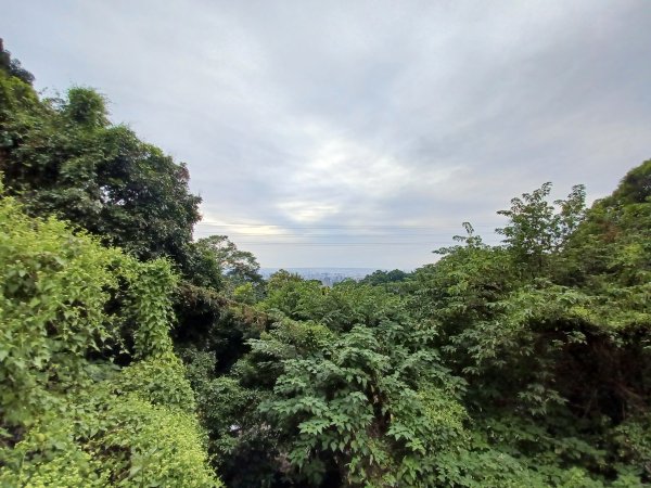 【台中北屯】台中大坑九號步道2933025