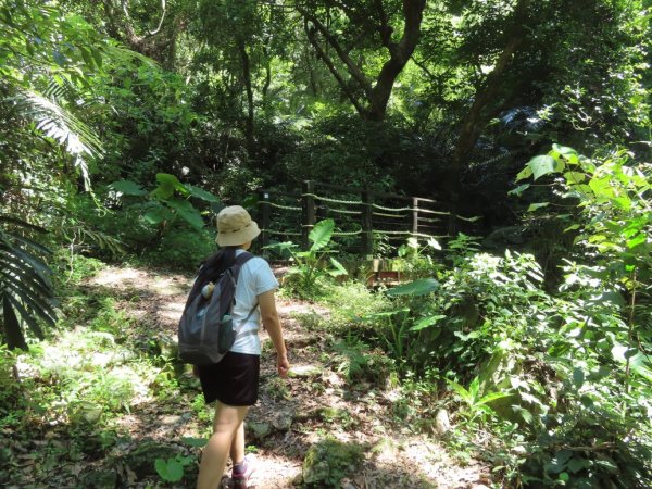 德芙蘭生態步道O形2829439