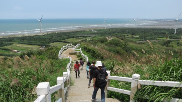 《苗栗》吹風看海｜後龍好望角步道及白沙屯周邊健行202405032495026