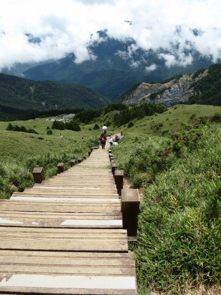 《南投》愛上山｜合歡山東峰2016061412166