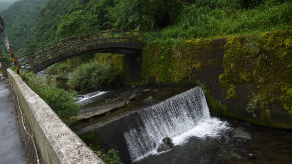 金字碑古道登山健行趣(淡蘭北路TK1-13)1809939