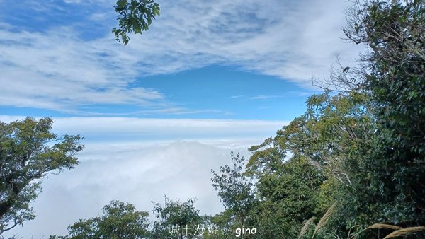 【苗栗泰安】水雲三星最終回。 橫龍山x橫龍山北峰x騰龍山(有極佳的展望)2061877