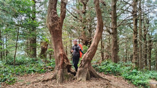 肥大醜三崠連走，鳶嘴西陵上鳶嘴山2650326