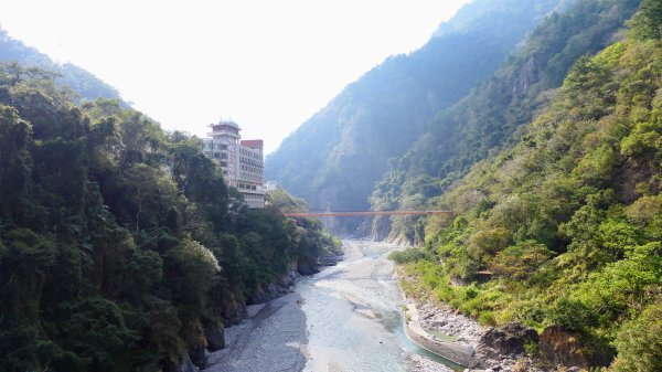 谷關溫泉,八仙山,勝興車站,三灣落羽松2654818