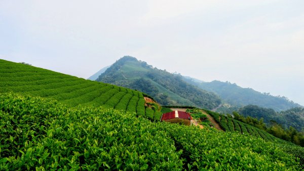 雲嘉五連峰2948637