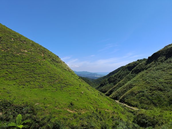 20260619草嶺古道3075954