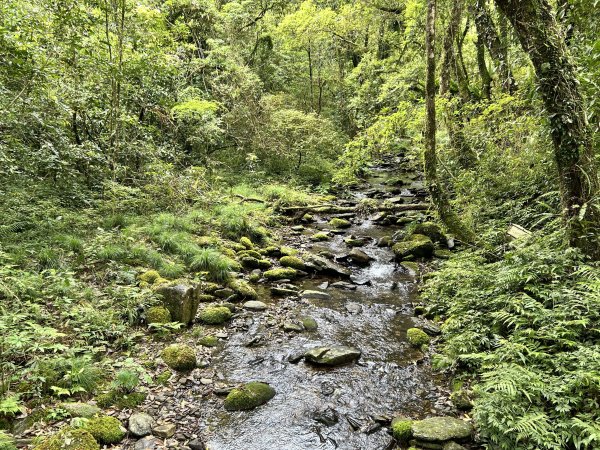 福山植物園3053388
