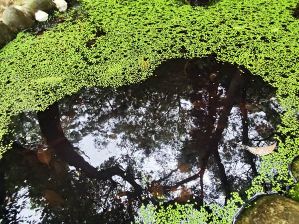 台中大甲鐵砧山2769477