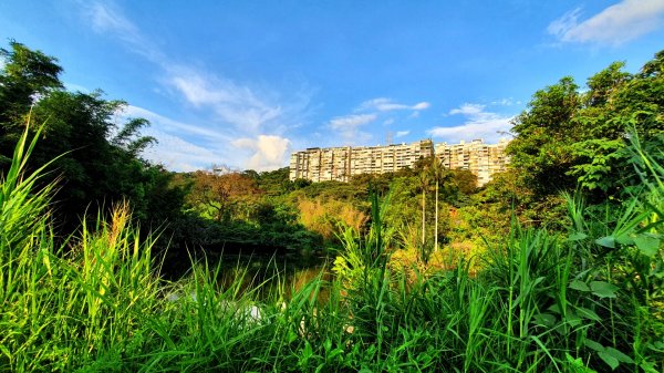 北投忠義山，竹圍樹梅坑步道，關渡楓丹白露步道，淡水海關碼頭，多田榮吉故居，一滴水紀念館，殼牌文化園區1746290