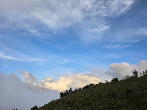 志佳陽大山（回程走高繞環山獵人登山步道）2542209