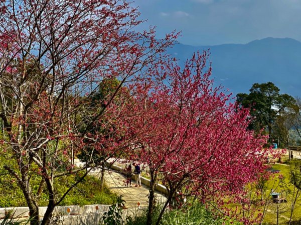 出關古道  關刀山（小百岳#36 ）1329223