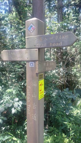 20250510福山古道隴頂步道健行:2791512