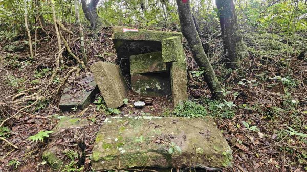 20250519石碇大崙-南勢坑山-鑽石峰-人頭面山-南勢坑大尖-小尖山主前北峰2791603